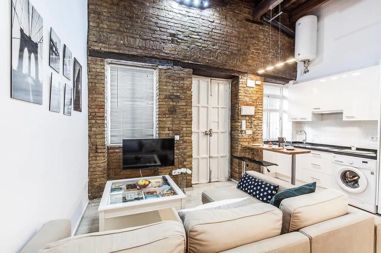 Nice Apartment In The Heart Of Seville contacts